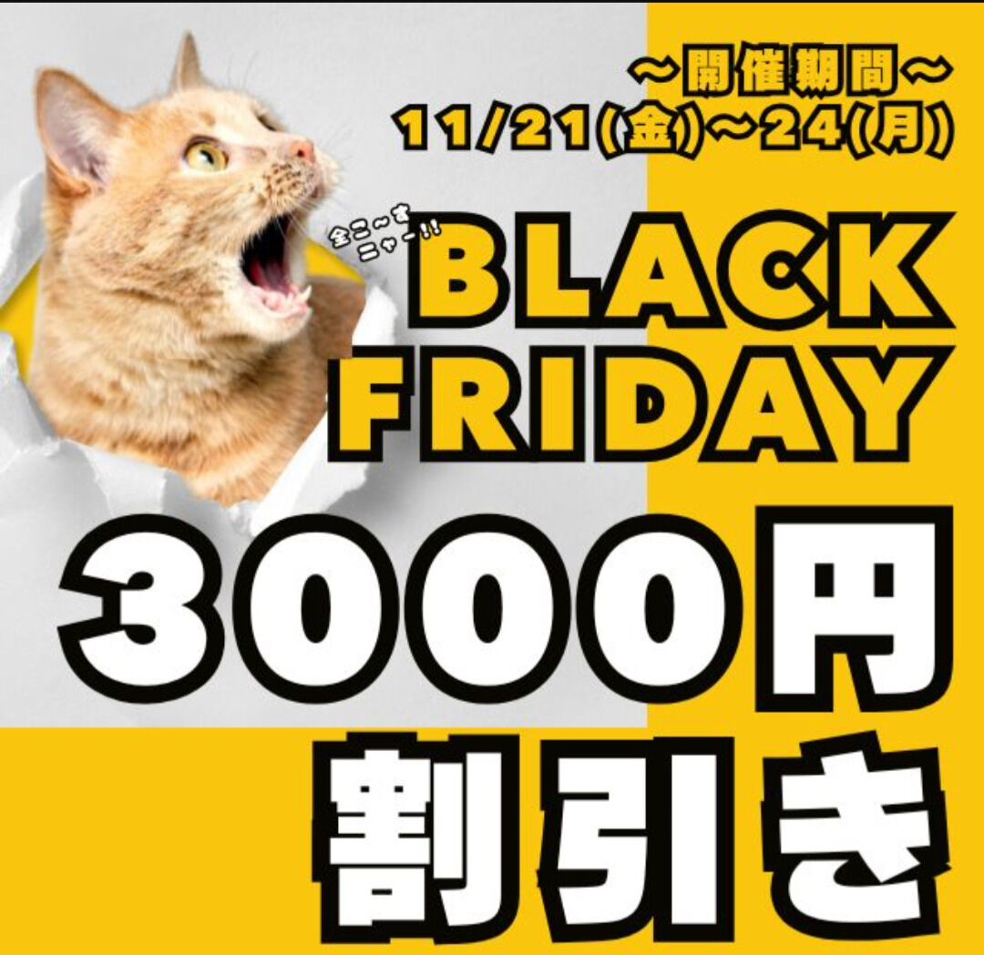 おはようございます(&#8288;^&#8288;^&#8288;)