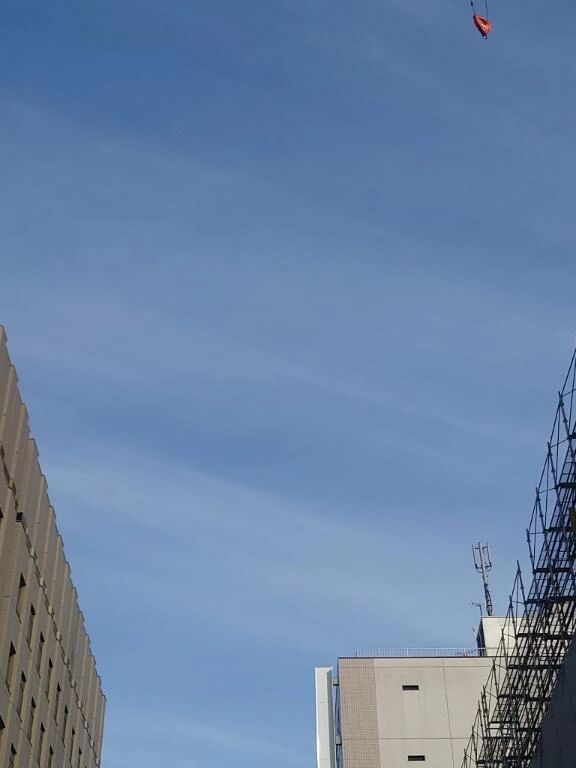 元気ですか？珞