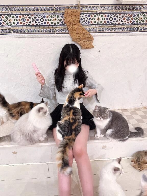 にゃんこ派&zwj;⬛