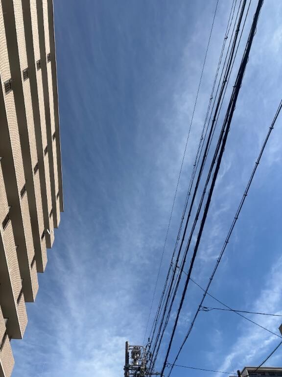 次回出勤決まりました&#9825;