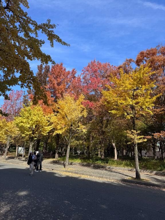 きれいです&#9825;