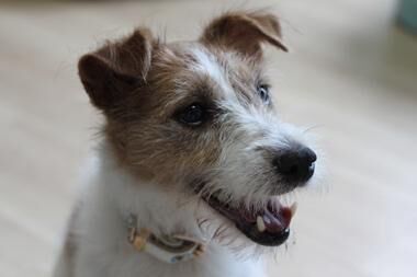 ありがとうございました&#10084;&#65039;