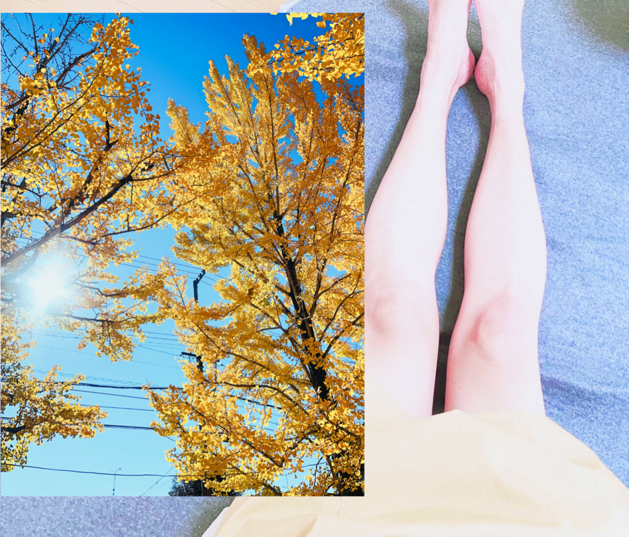 一緒に狂いましょ