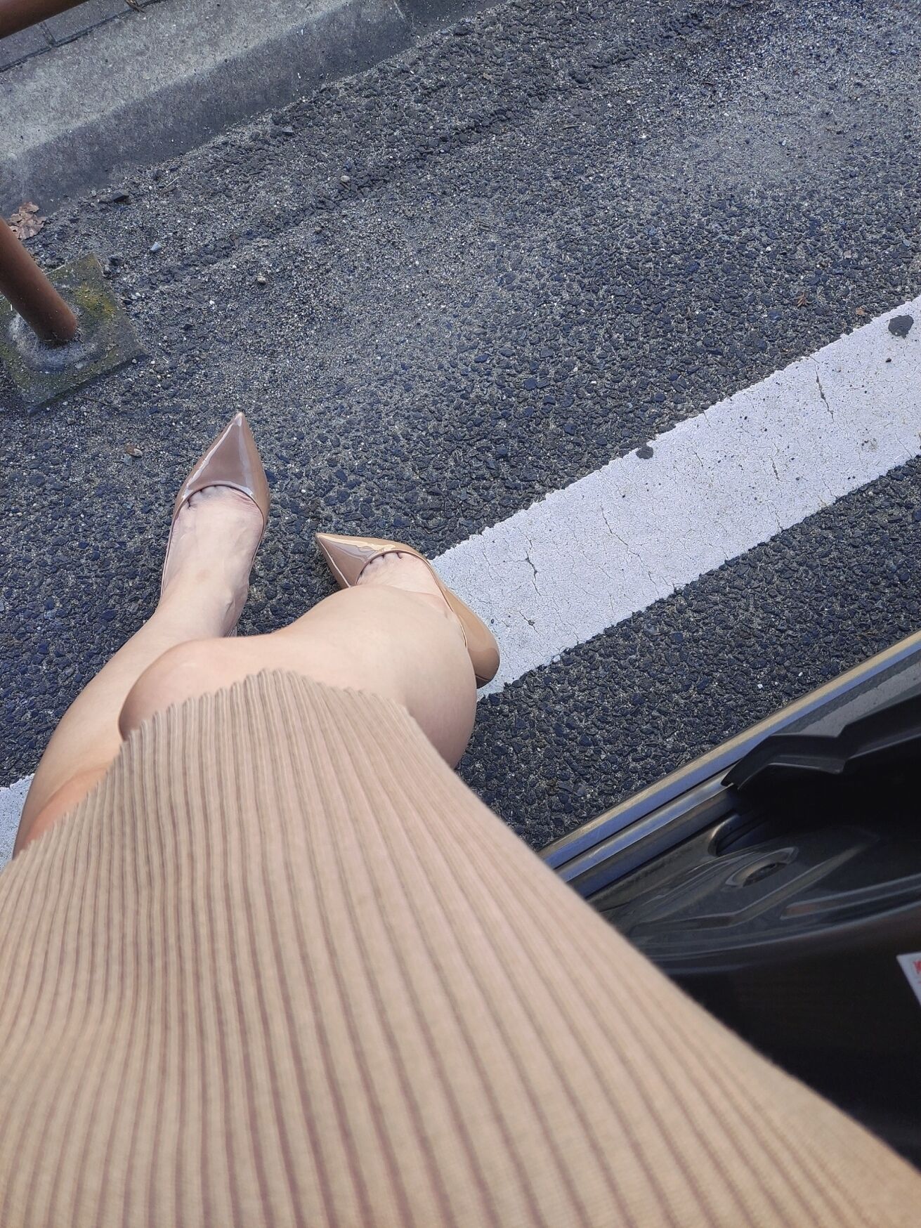 た&bull;な･お･ろ･し