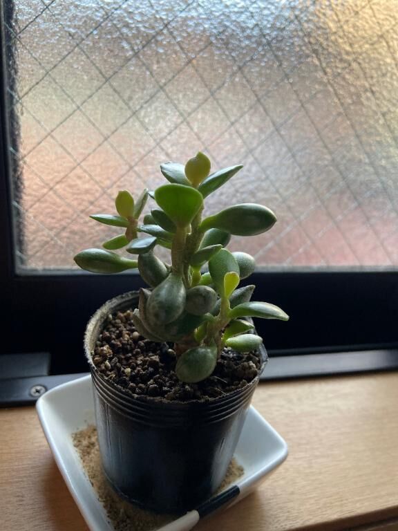 おはようございます☀️