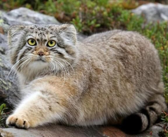 2025、最後の連休。