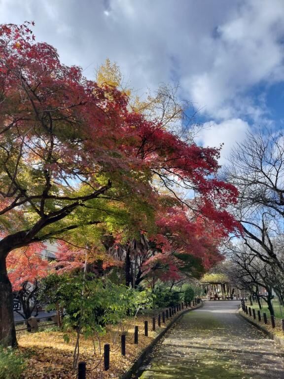 気温差がエグい(T_T)