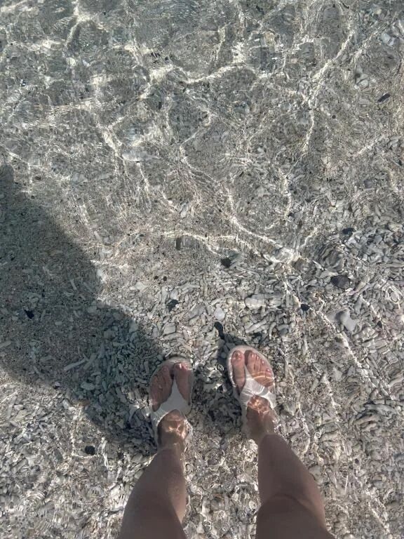 リラックスタイム