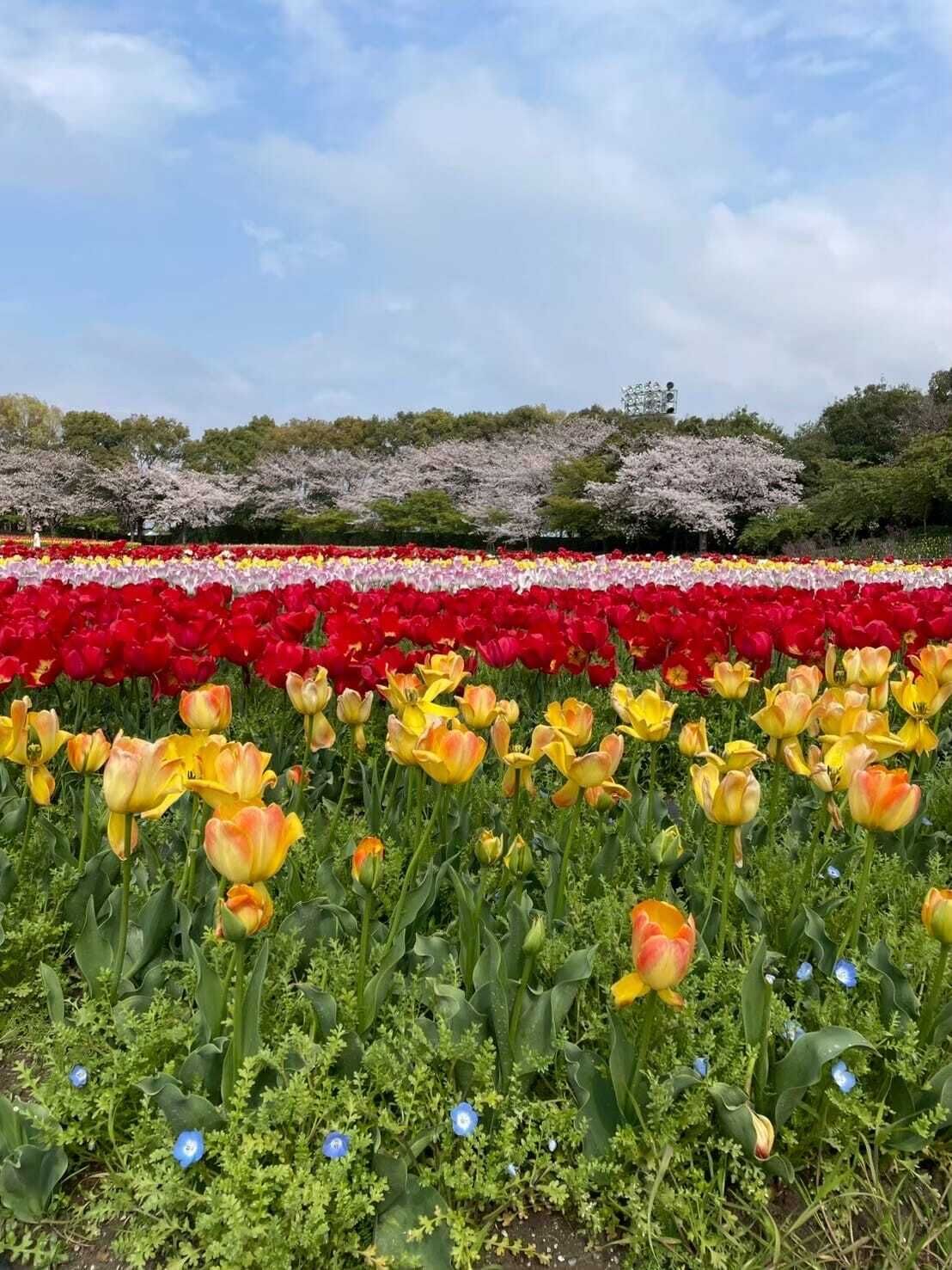 本指名お兄様&#9825;