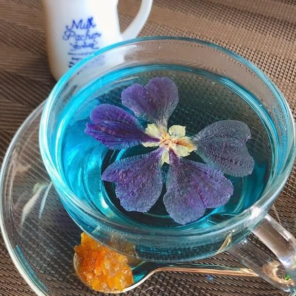 おつかれさまーでした