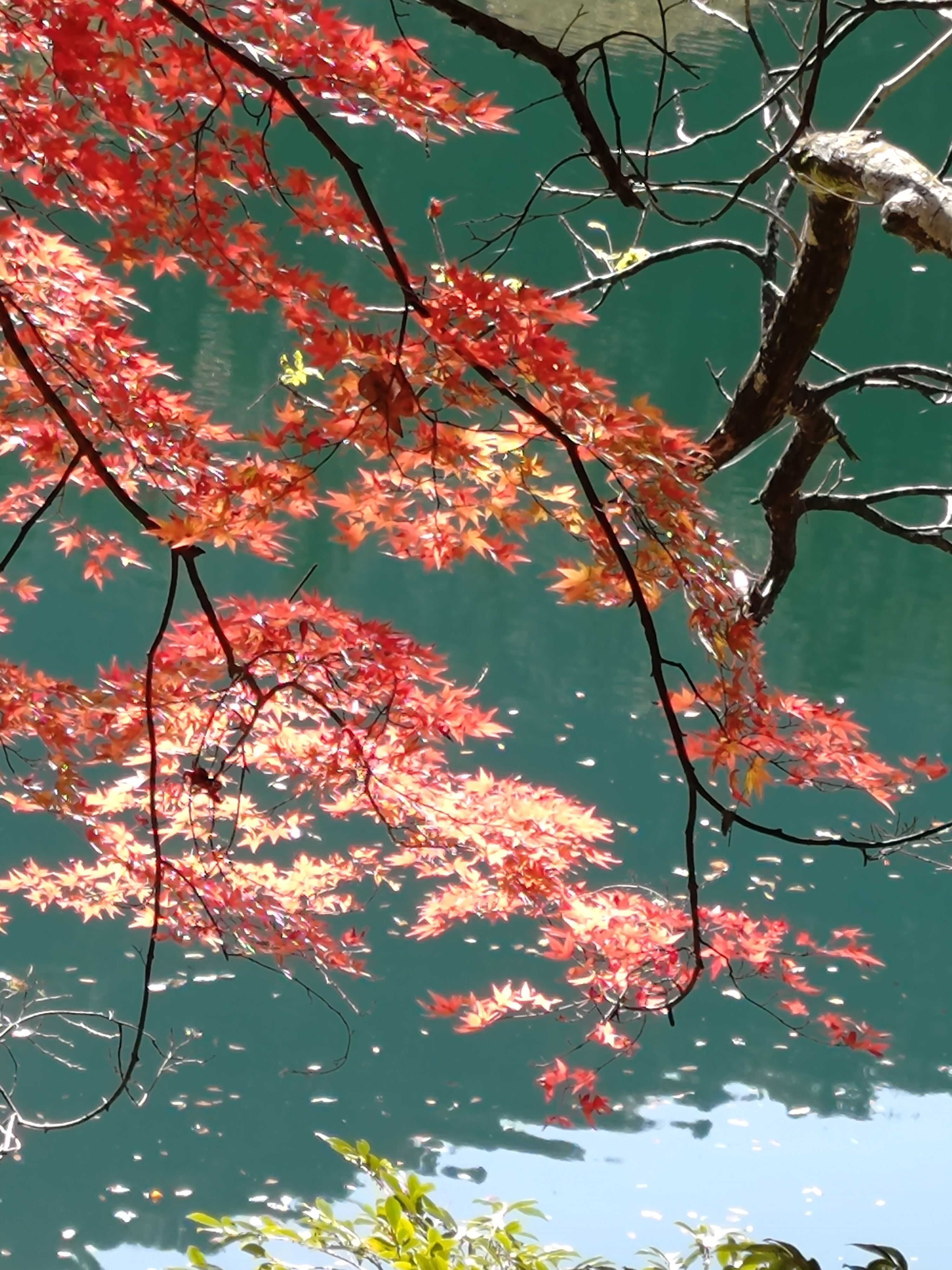 ありがとうございました