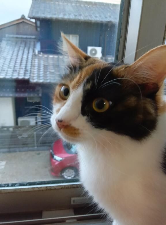 出勤しましたぁ