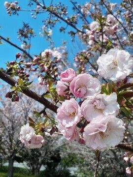 ２４日月曜　Ｍ様　Love letter