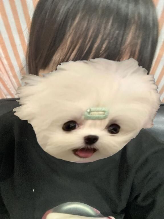 明日も&#9825;&#9825;