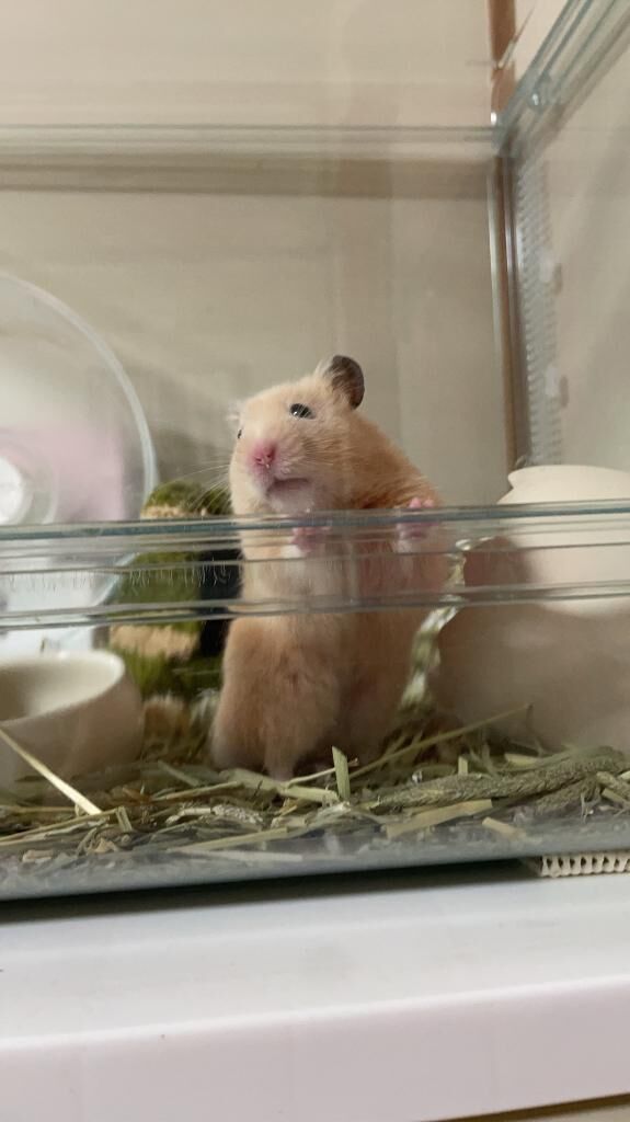 こんばんは&#9825;