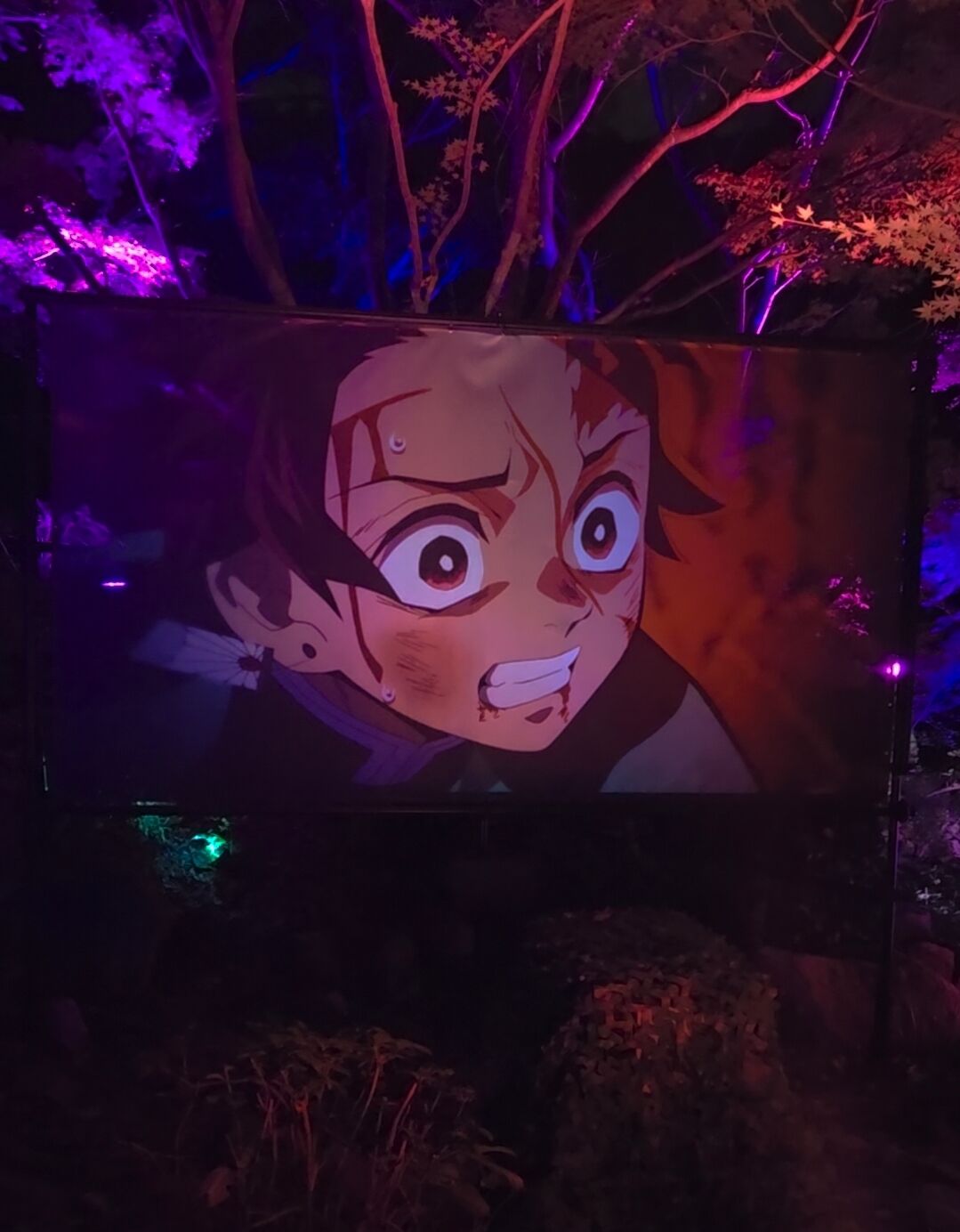 ☆こんばんは☆