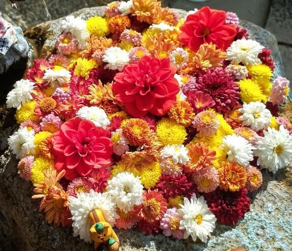 おやすみなさい