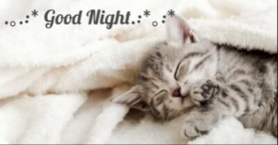 ＊おやすみなさい＊