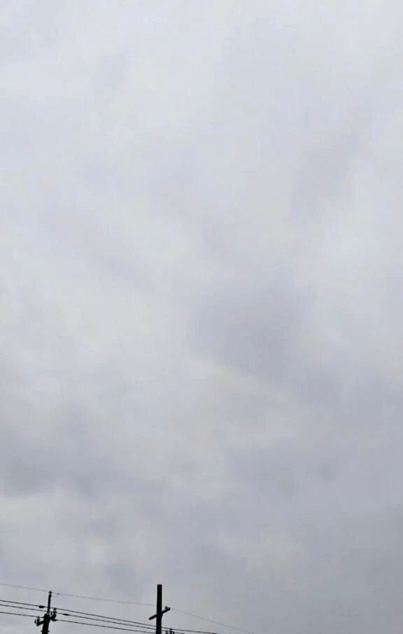 李おはようございます李