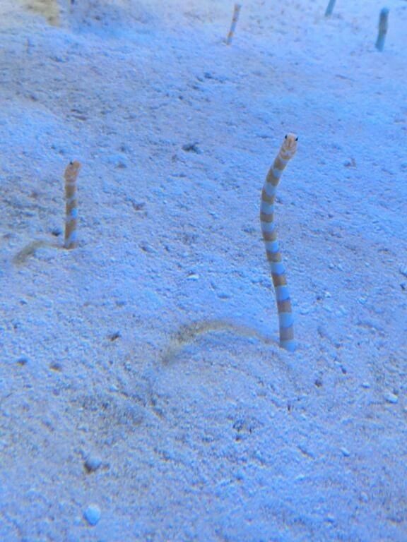 おはようございます🌥️