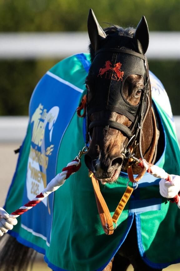 (｡&#9825;&#9825;&#9825;｡)