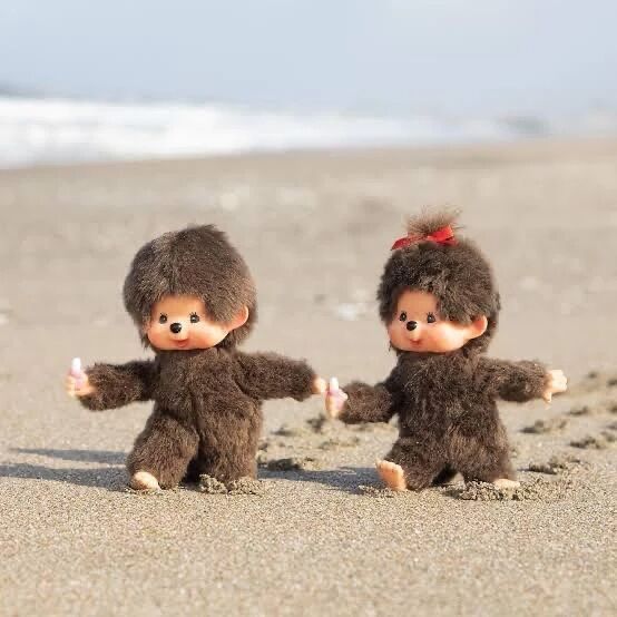 &#127872;昨日&#127872;