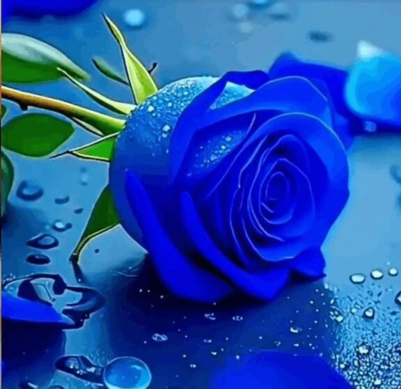 出勤致しました！