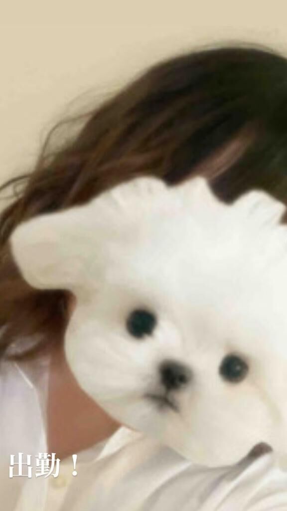 ご予約ありがとうございます&#128568;