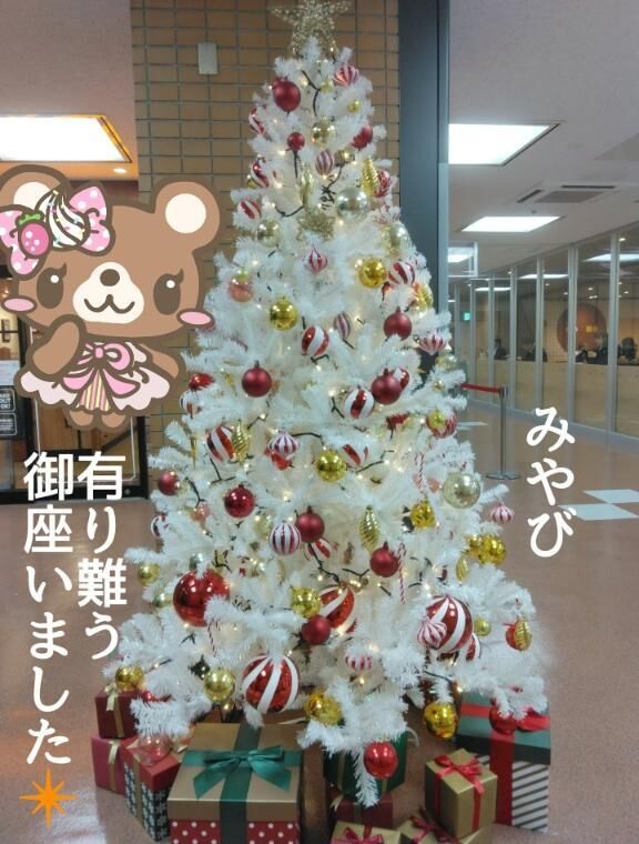 有り難う御座いました