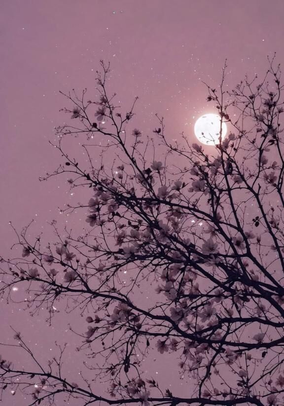 いつものS様♡お礼