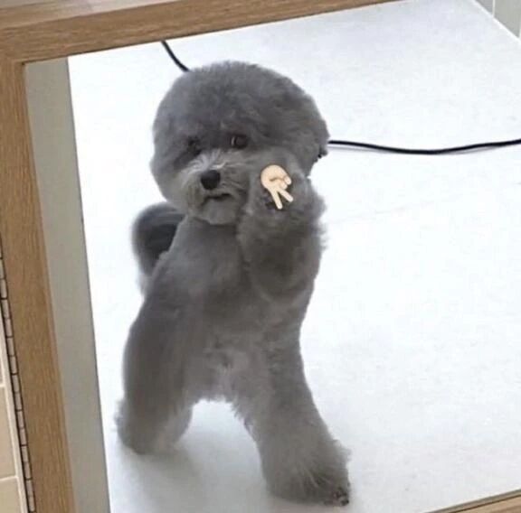 今日もありがとう！