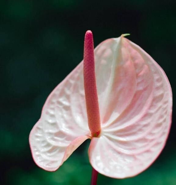 おはようございます♡