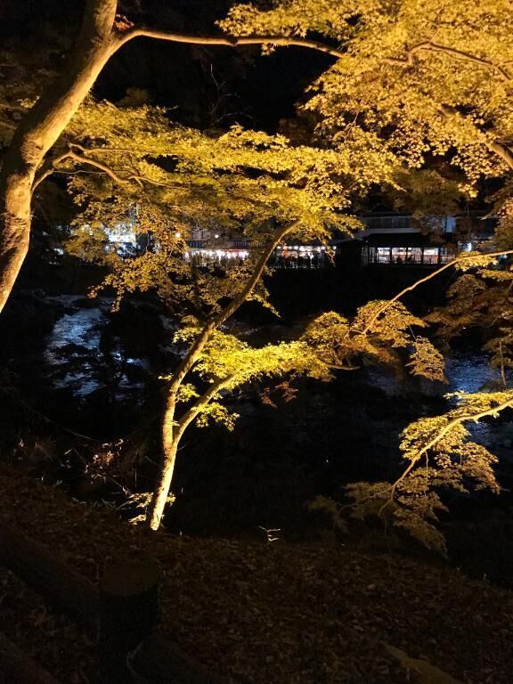 おはようございます