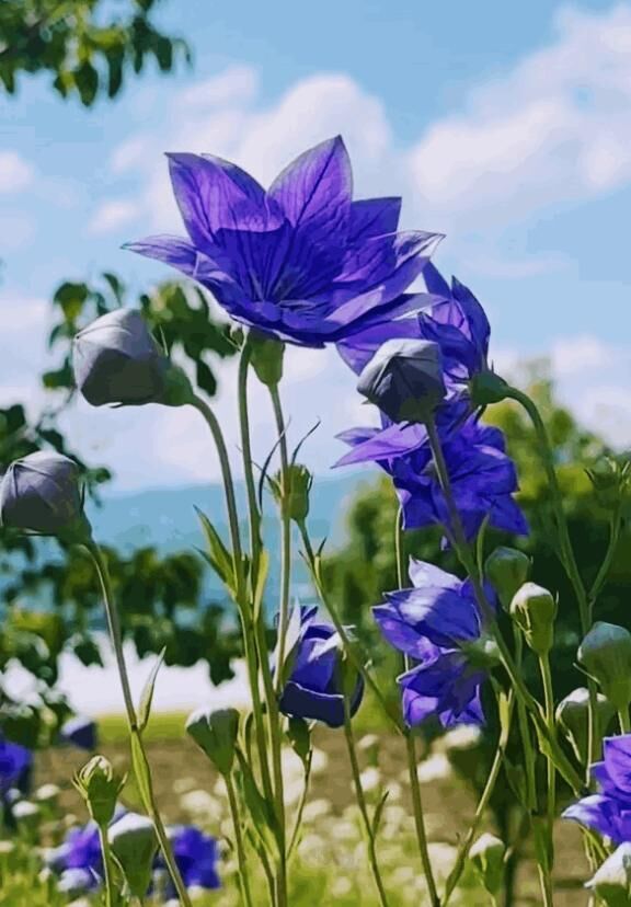 昨日のお礼です♡