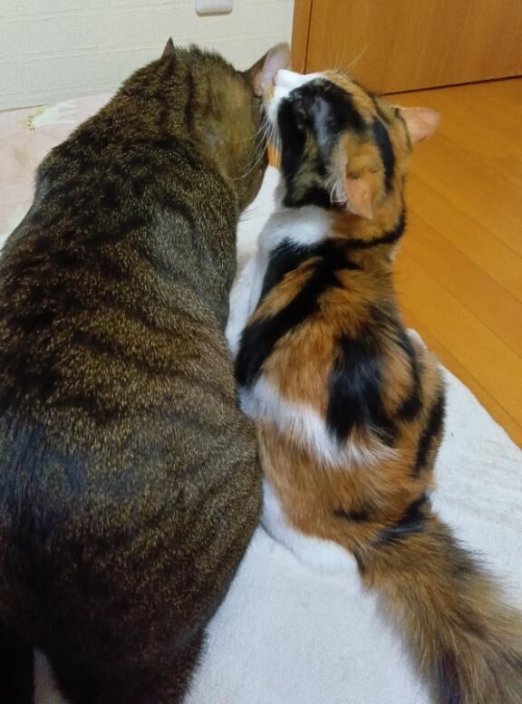 金曜日19時予約！仲良しM様