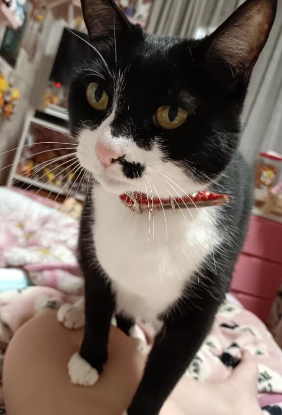 お疲れ様です