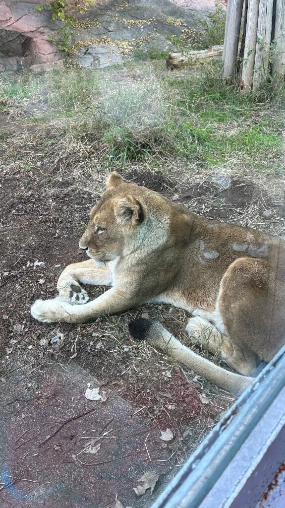 出勤しました♡♡