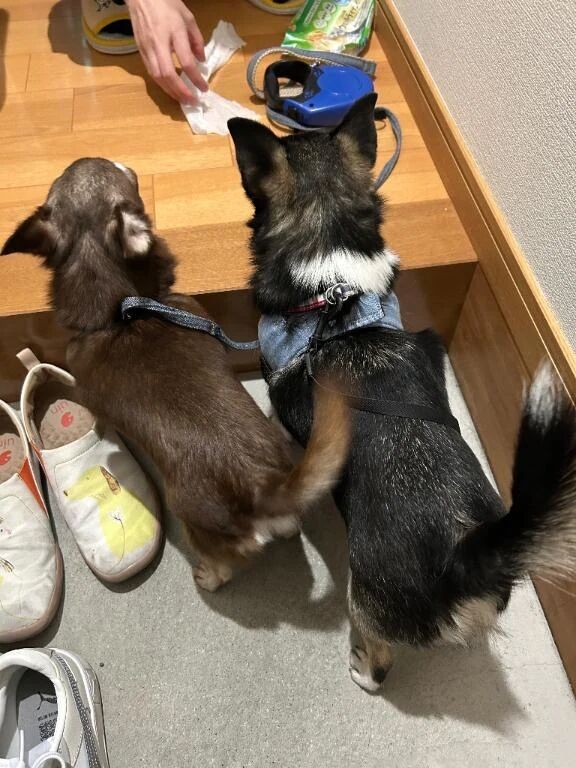 お礼日記&#128522;&#10024;