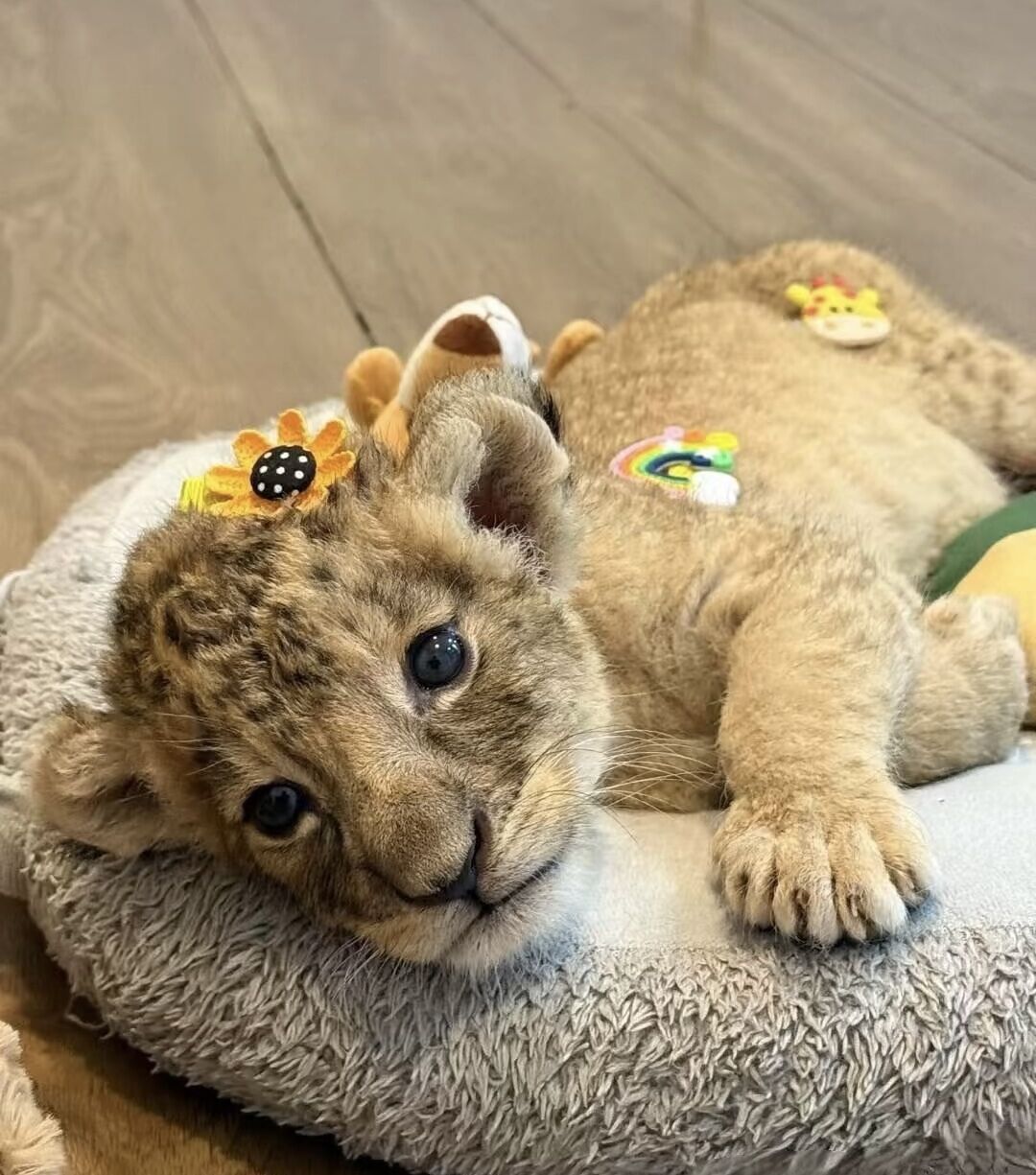 おはようございます