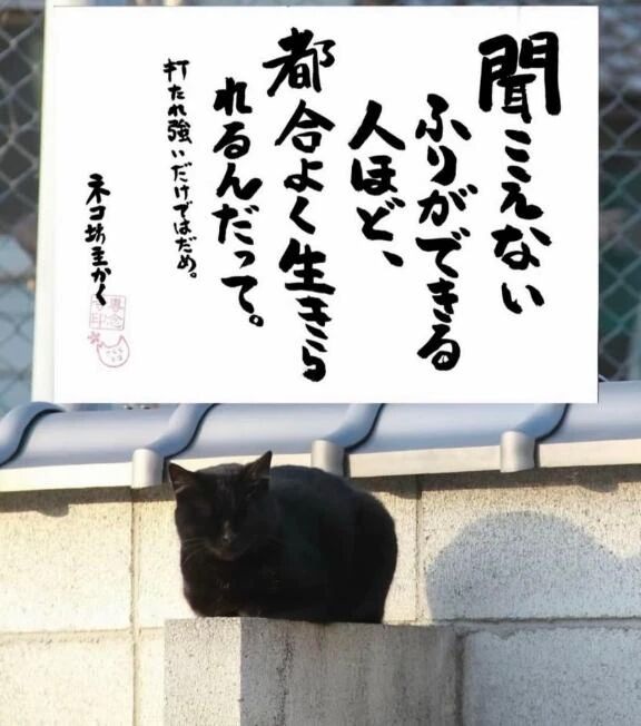 おはよぅござぃます殺