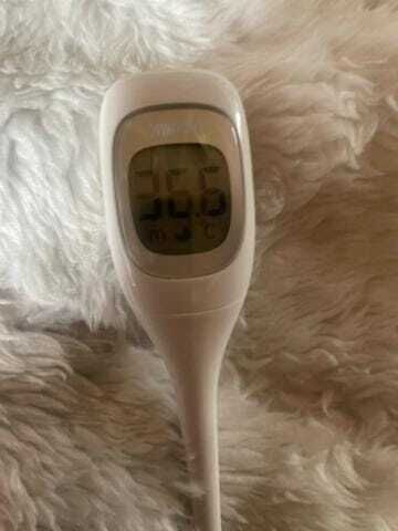 おはようございます