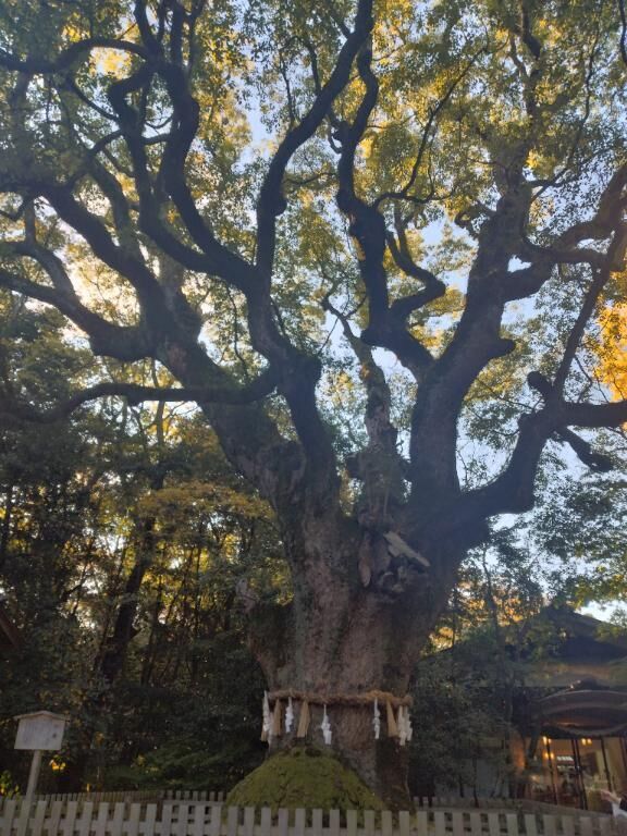 ごめんなさい。