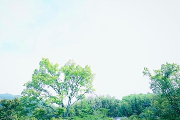 伝えたい伝わらない