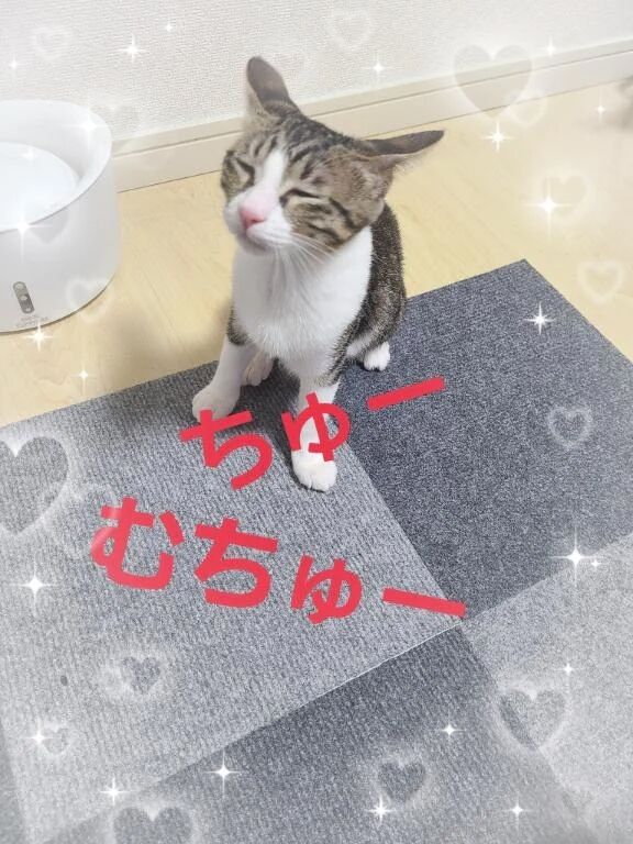 &zwj;❤️&zwj;&zwj;➰