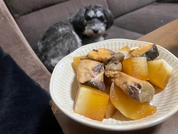 もしかしてブリ