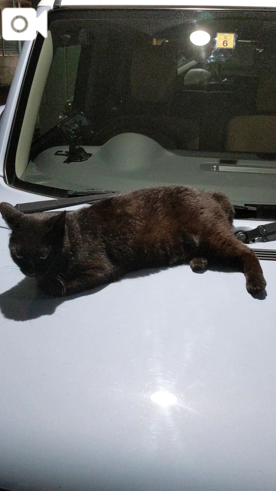 一緒に暮らしたい&#128149;&#65038;