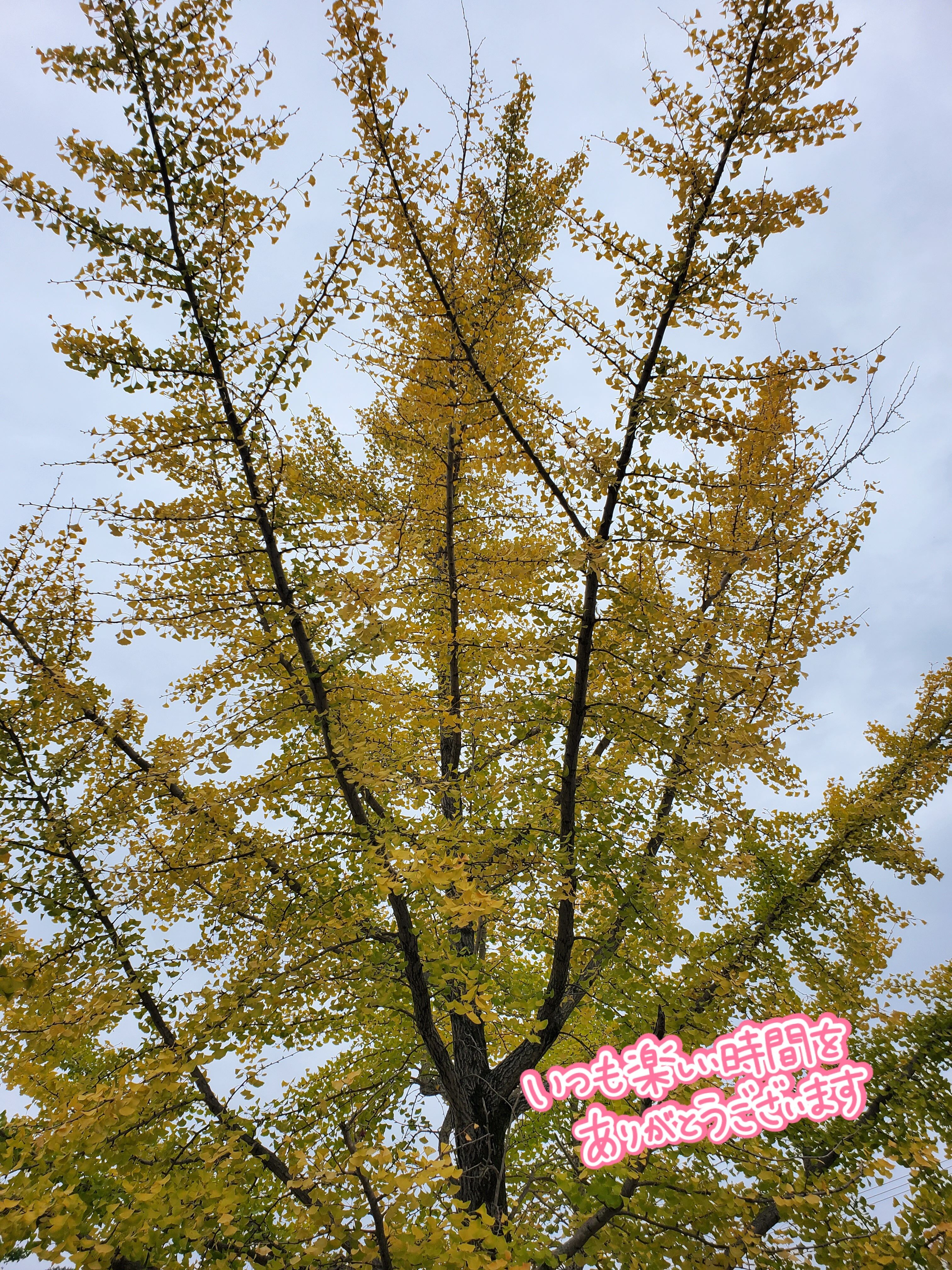 愛知県は警報！！