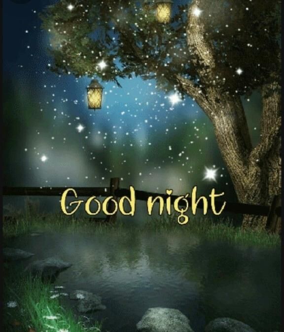 おやすみぃ(-_-)zzz