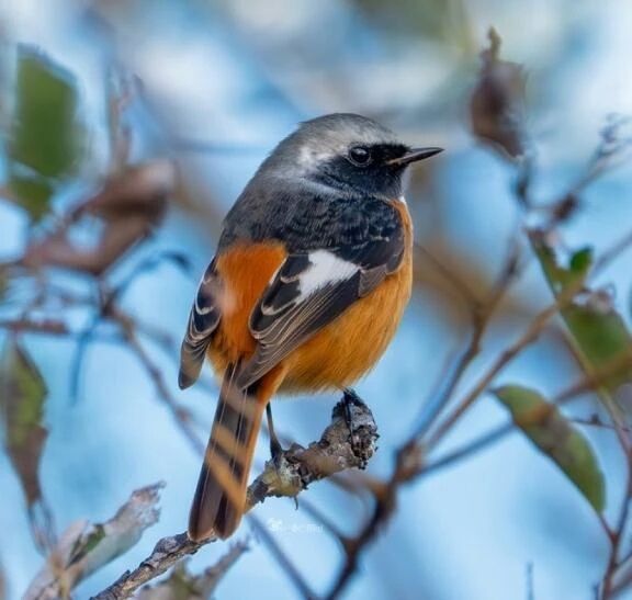 おはようございます...