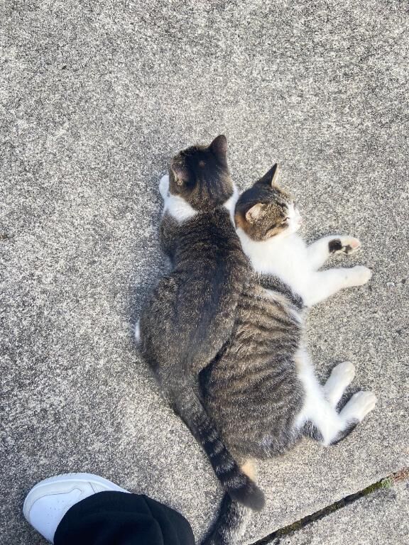 [お題]from:怖いんだけどさん